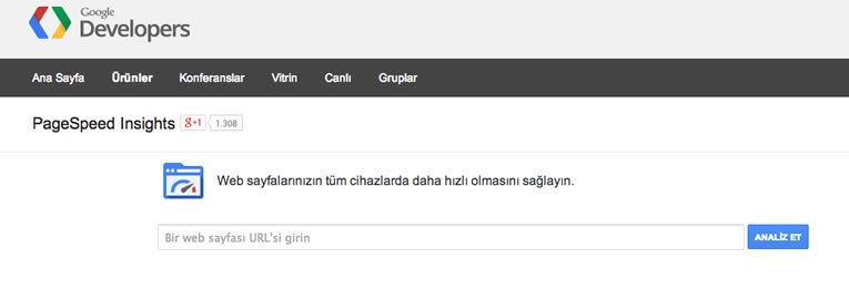 Google Developers Online Sayfa Hız Testi