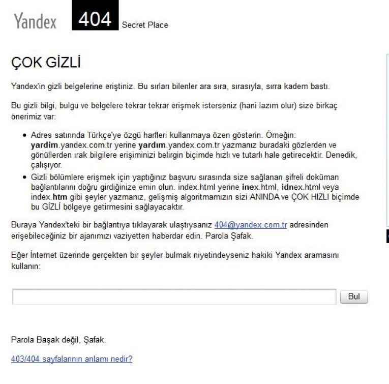 Yandex Hata Sayfası